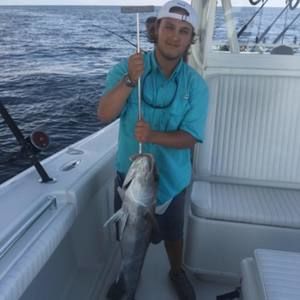 Meet your Posher, Dusty